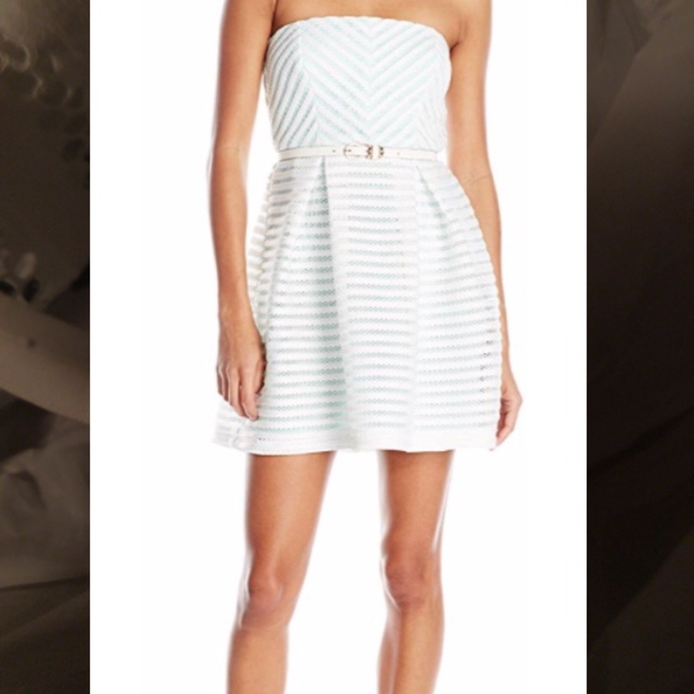Gorgeous Fit and flare dress